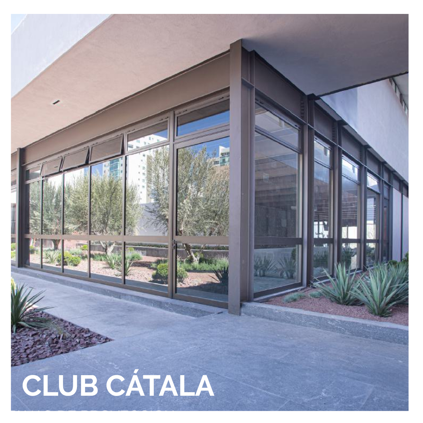 portada club catala